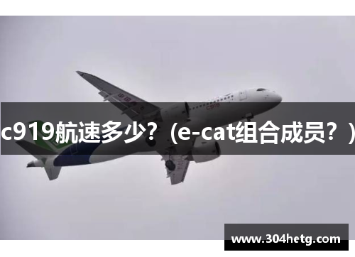 c919航速多少？(e-cat组合成员？)