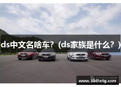 ds中文名啥车？(ds家族是什么？)